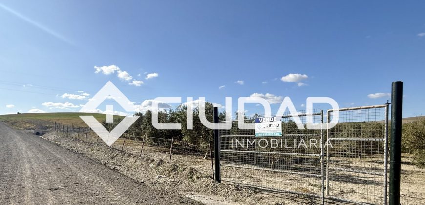 Campo en venta – Camino Bajo Guía
