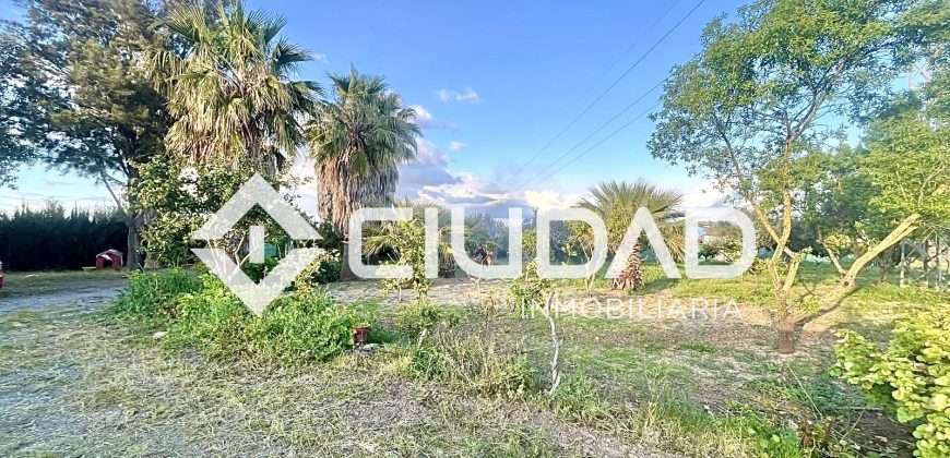 Campo con casa y piscina de obra – Zona La Encinilla