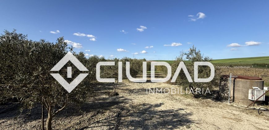 Campo en venta – Camino Bajo Guía