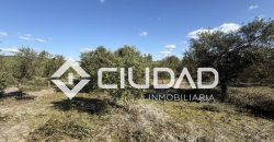 Campo en venta – Camino Bajo Guía