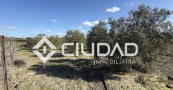 Campo en venta – Camino Bajo Guía