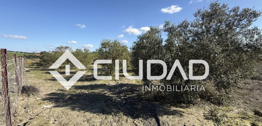 Campo en venta – Camino Bajo Guía