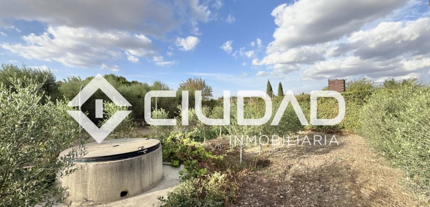 Rebajado – Finca rústica – Zona El Hornillo