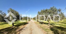 Finca rústica en venta – Camino La Reyerta (Hipotecable)