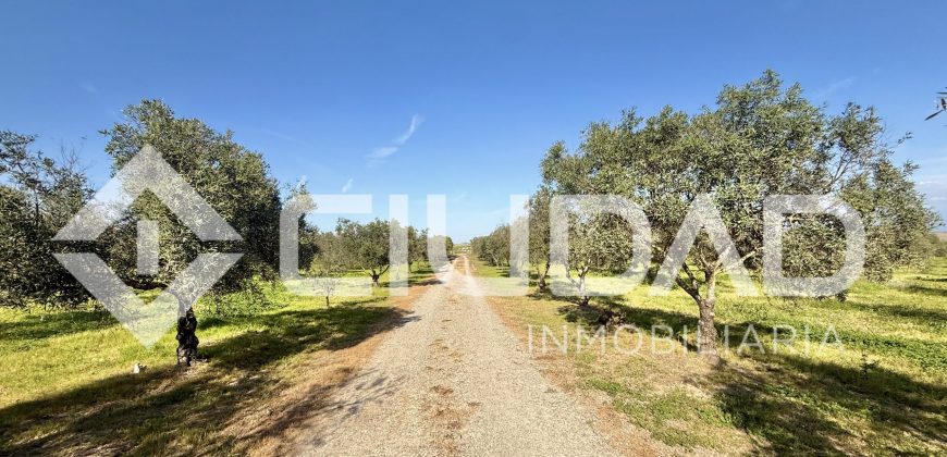 Finca rústica en venta – Camino La Reyerta (Hipotecable)