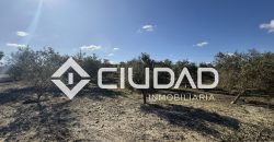 Campo en venta – Camino Bajo Guía