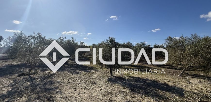 Campo en venta – Camino Bajo Guía