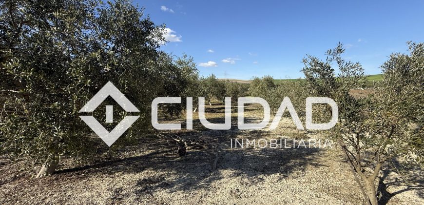 Campo en venta – Camino Bajo Guía