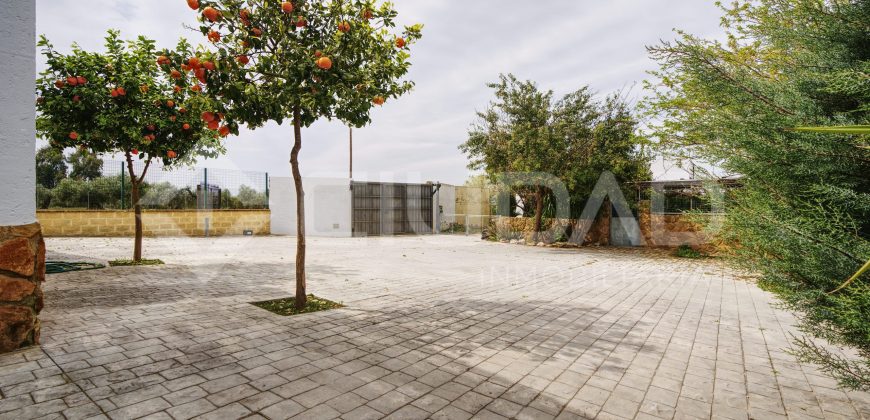 CAMPO CON PISCINA EN EL PEROTONAR