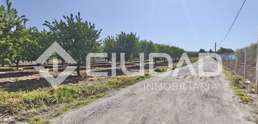 Terreno rústico – Camino La Humedad