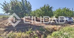 Terreno rústico – Camino La Humedad