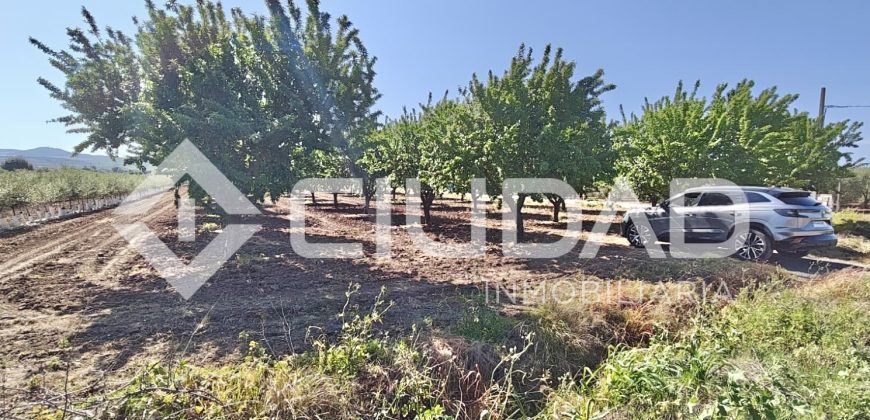 Terreno rústico – Camino La Humedad