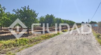 Terreno rústico – Camino La Humedad