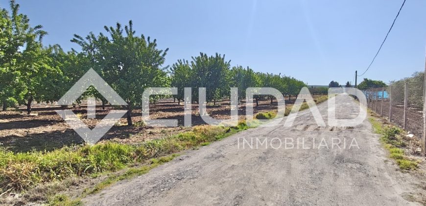Terreno rústico – Camino La Humedad