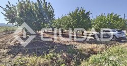 Terreno rústico – Camino La Humedad