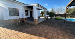 CAMPO CON PISCINA EN EL PEROTONAR