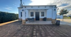 CAMPO CON PISCINA EN EL PEROTONAR