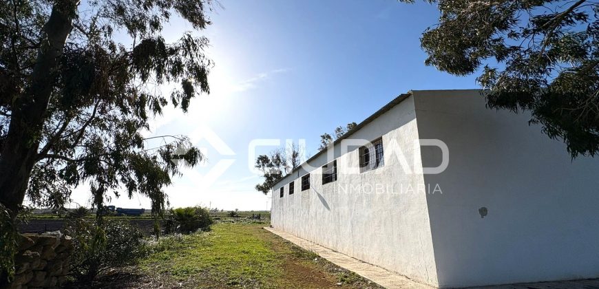 Finca rústica de uso agrícola con casa y nave