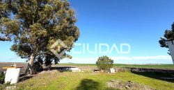 Finca rústica de uso agrícola con casa y nave