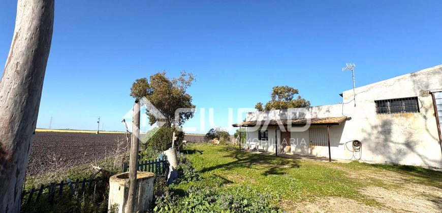 Finca rústica de uso agrícola con casa y nave