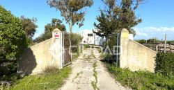 Finca rústica de uso agrícola con casa y nave