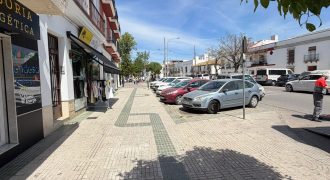 PISO CÉNTRICO CON ASCENSOR