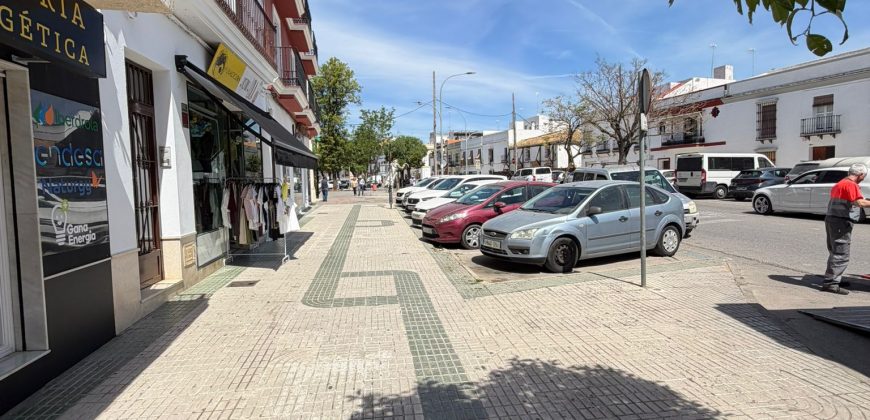 PISO CÉNTRICO CON ASCENSOR