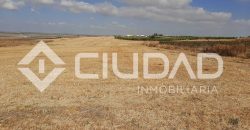 Parcela de secano – Zona Loma de Overo