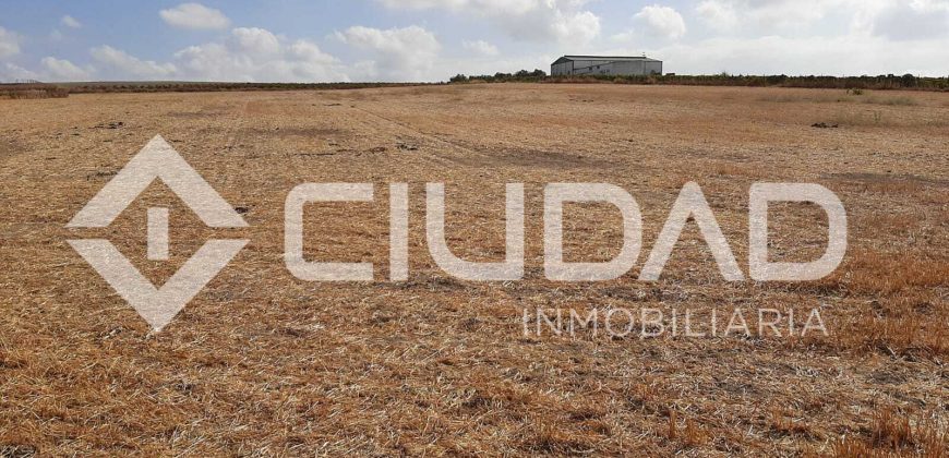 Parcela de secano – Zona Loma de Overo