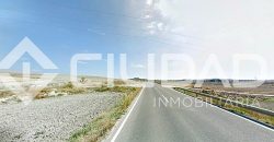 Parcela de secano – Zona Loma de Overo