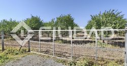 Finca rústica – Camino La Humedad, El Cuervo