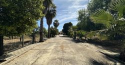 MARAVILLOSO CAMPO EN CAÑAVERALEJO