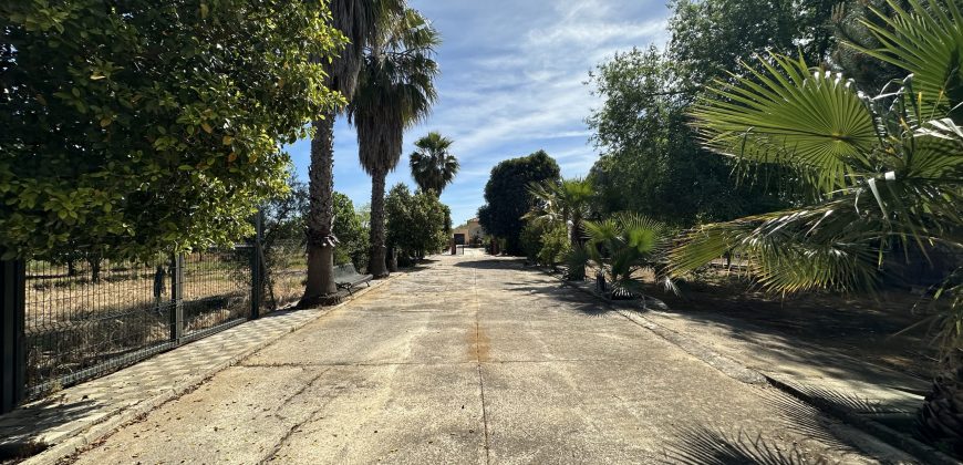 MARAVILLOSO CAMPO EN CAÑAVERALEJO