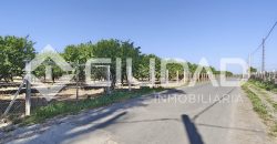 Finca rústica – Camino La Humedad, El Cuervo