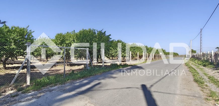 Finca rústica – Camino La Humedad, El Cuervo