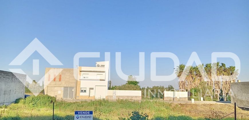 Solar en venta – Zona de Los Tollos