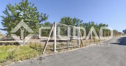 Finca rústica – Camino La Humedad, El Cuervo