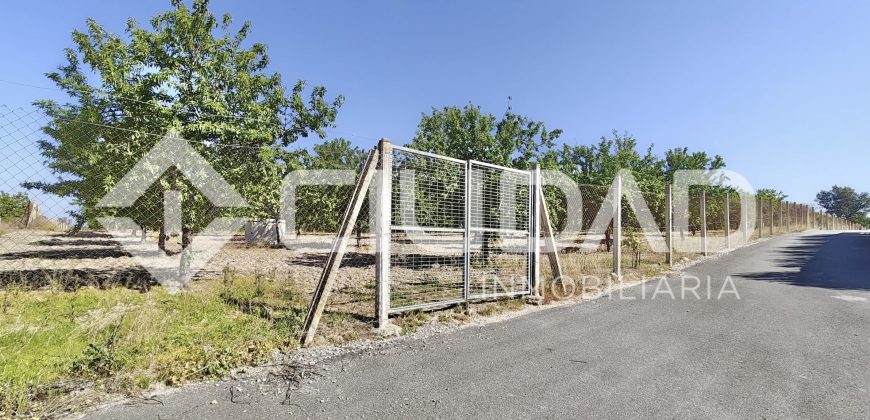 Finca rústica – Camino La Humedad, El Cuervo