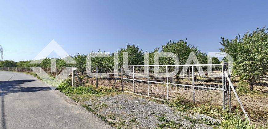 Finca rústica – Camino La Humedad, El Cuervo