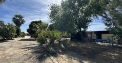 MARAVILLOSO CAMPO EN CAÑAVERALEJO