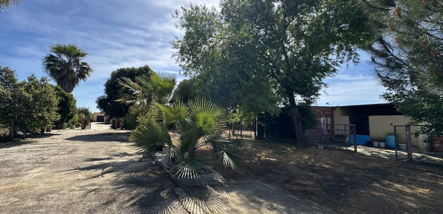 MARAVILLOSO CAMPO EN CAÑAVERALEJO