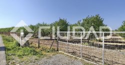 Finca rústica – Camino La Humedad, El Cuervo