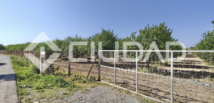 Finca rústica – Camino La Humedad, El Cuervo
