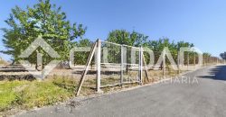 Finca rústica – Camino La Humedad, El Cuervo