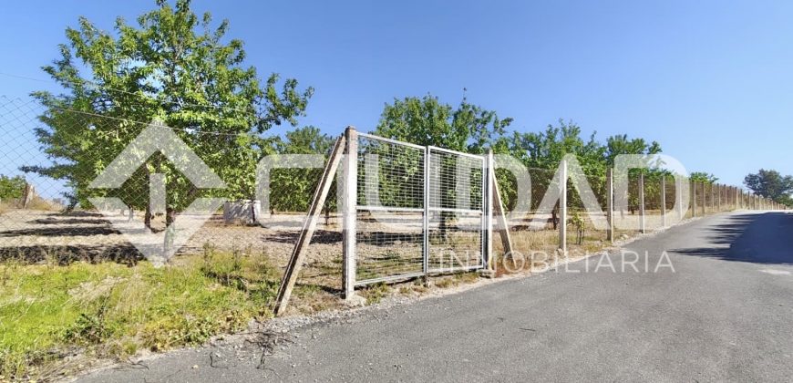 Finca rústica – Camino La Humedad, El Cuervo