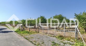 Finca rústica – Camino La Humedad, El Cuervo