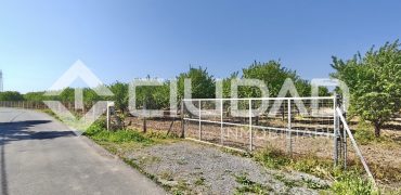 Finca rústica – Camino La Humedad, El Cuervo