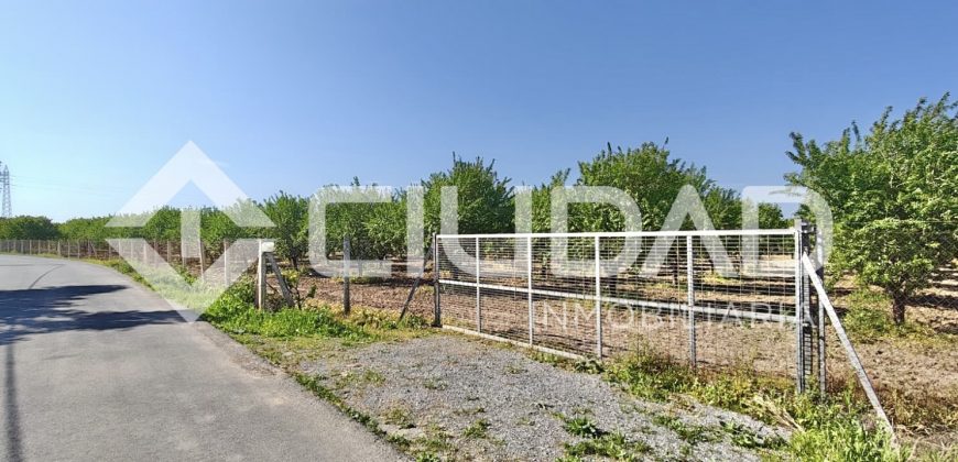 Finca rústica – Camino La Humedad, El Cuervo