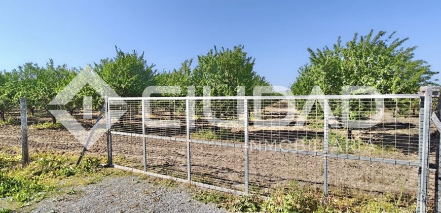 Finca rústica – Camino La Humedad, El Cuervo