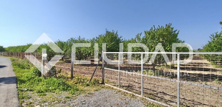 Finca rústica – Camino La Humedad, El Cuervo